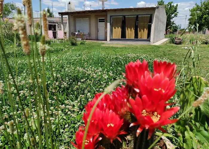 Cabana Huru Zaha