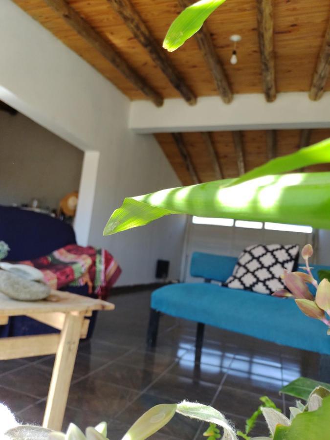 Apartamento Hurú Zaha La Consulta